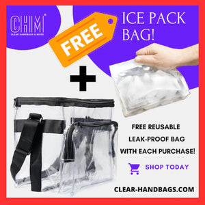 Clear Insulated Lunch Bag