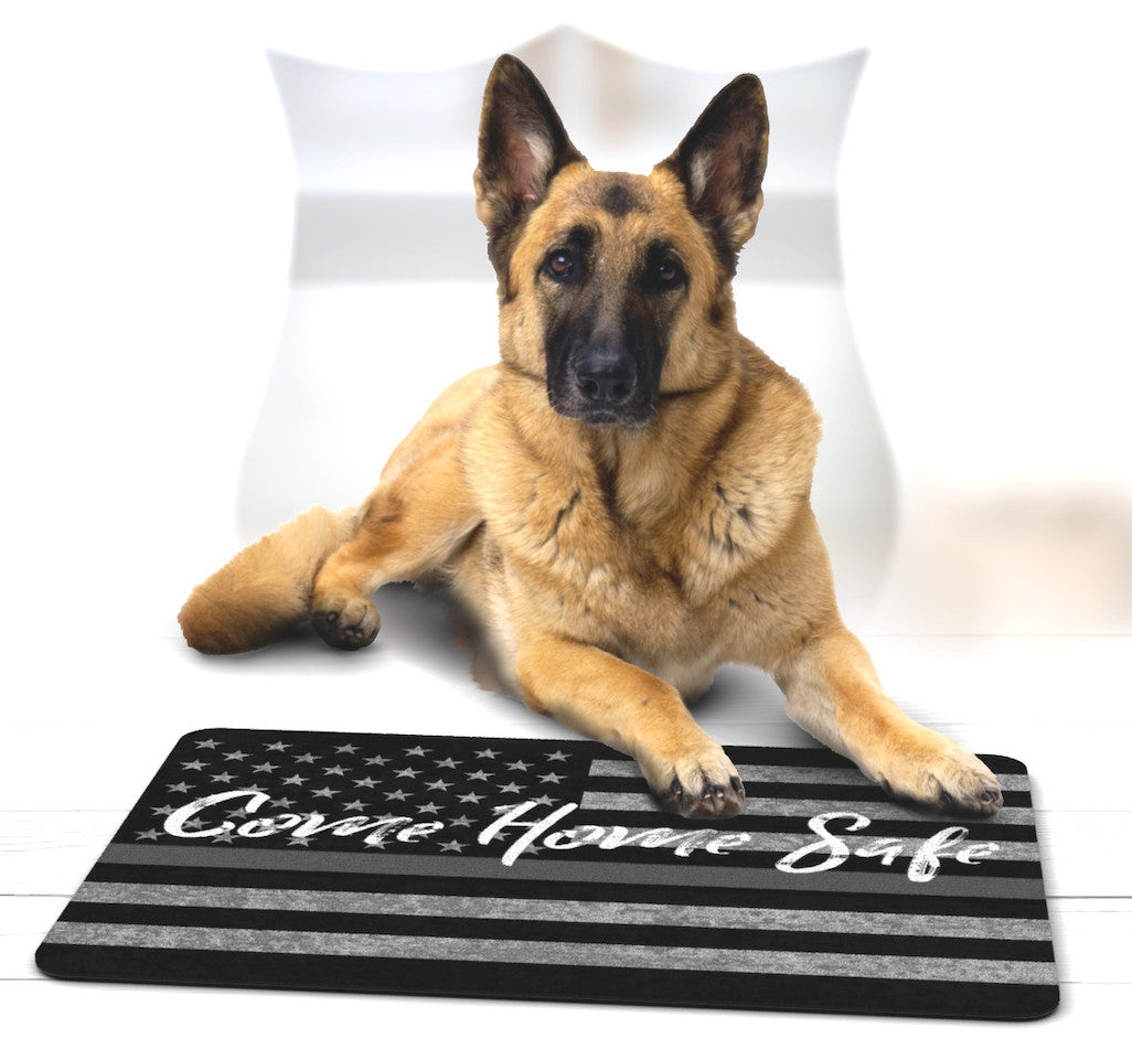 correctional officer gift thin grey line